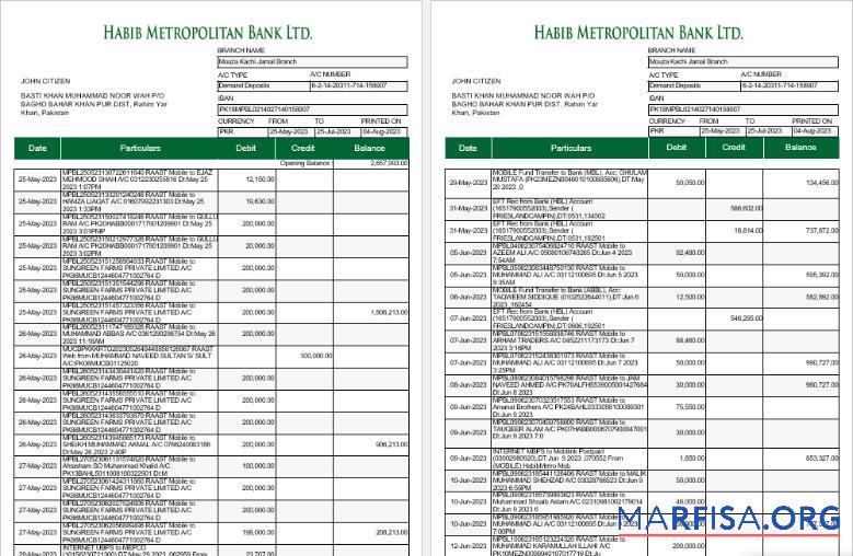 Downloadable Pakistan Habib Metropolitan bank statement word 5 pages 1 2 download for verification